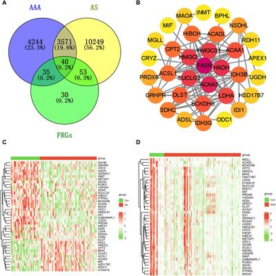 Transcriptomic analysis identifies the shared diagnostic biomarkers and immune relationship between Atherosclerosis and abdominal aortic aneurysm based on fatty acid metabolism gene set